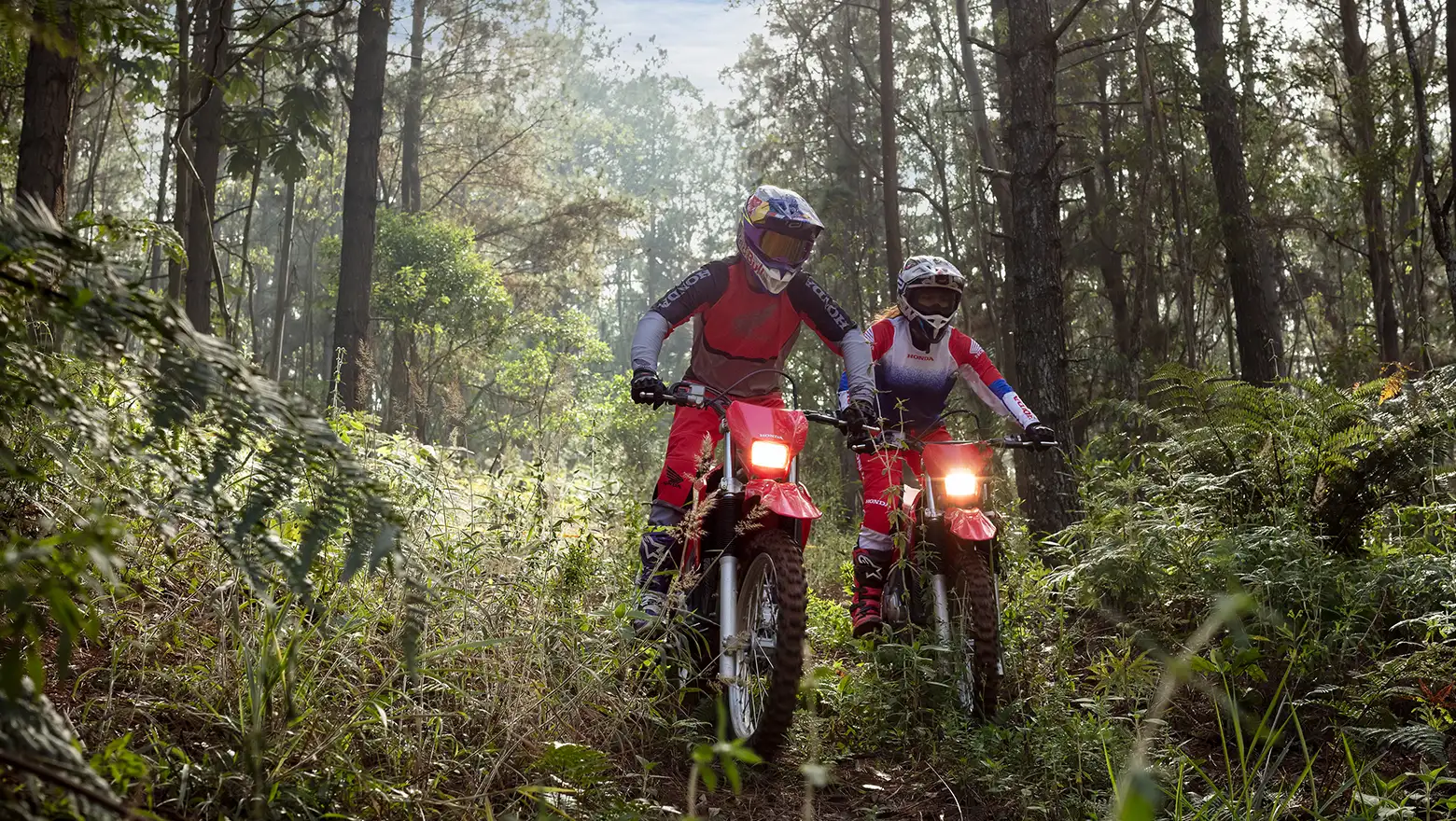 CRF 300F detalhe do painel e guidão