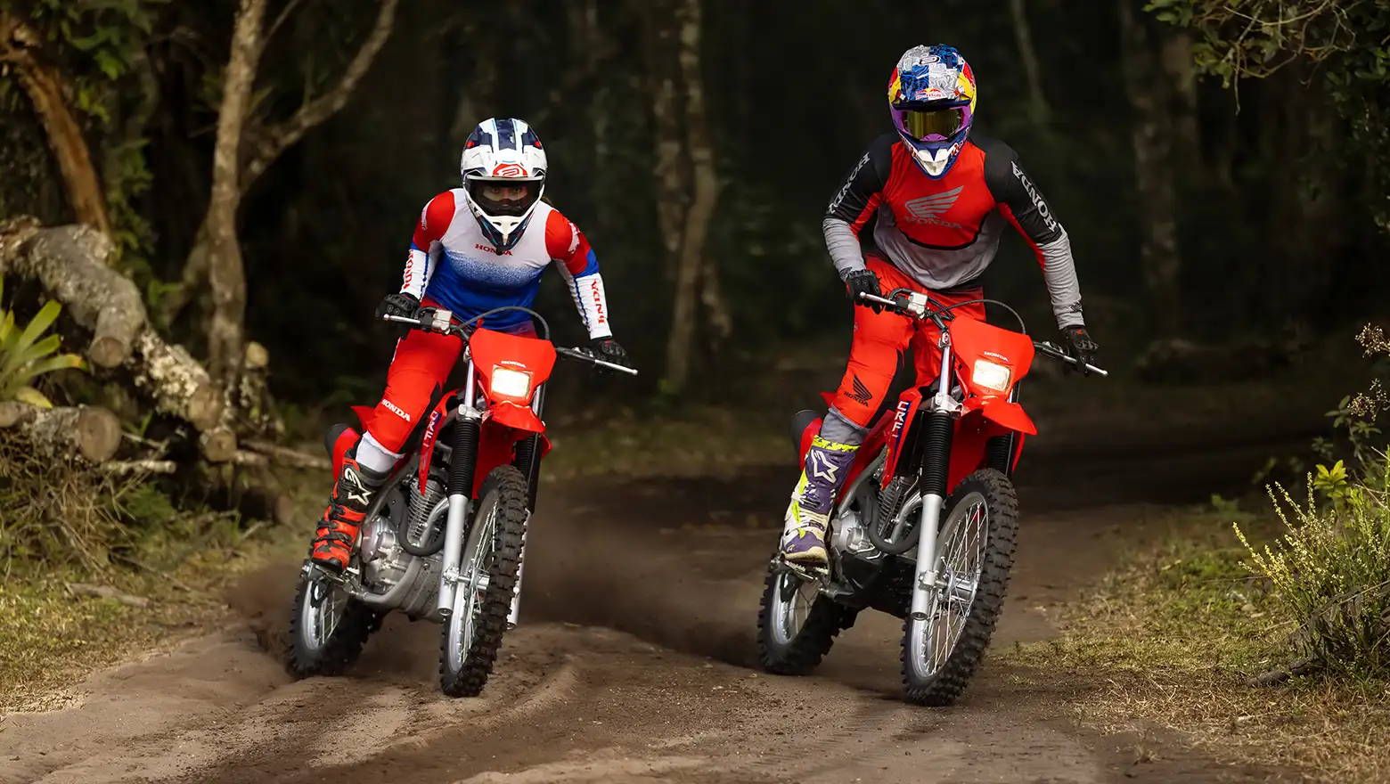 CRF 300F em ação em trilha off-road