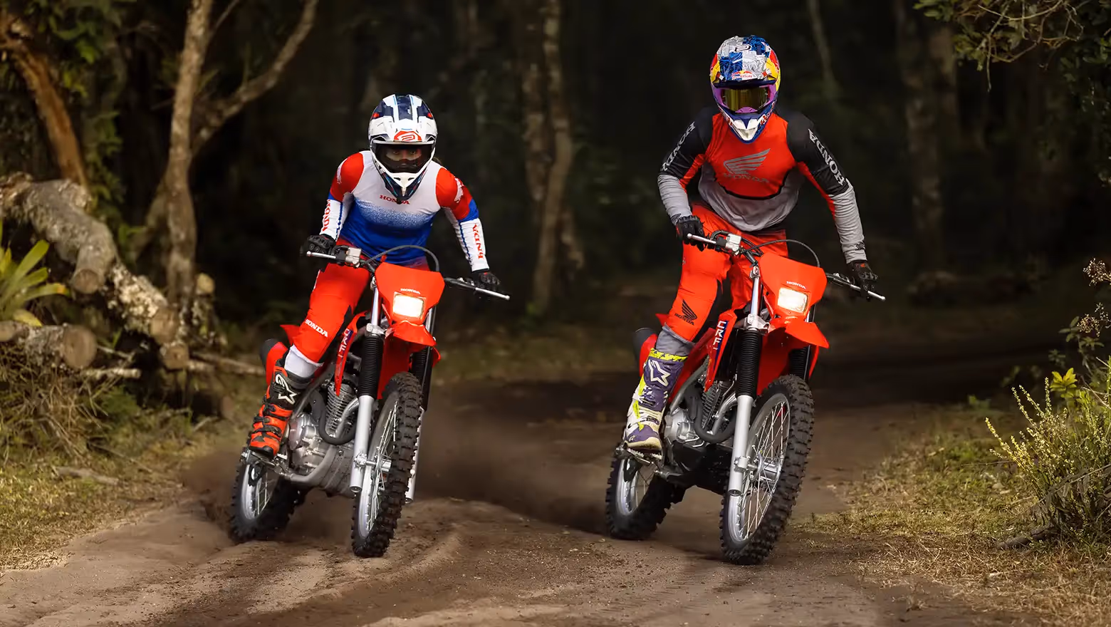 CRF 300F em ação em trilha off-road