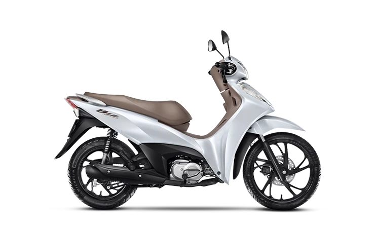 Branco Perolizado – Pearl Hakuji White