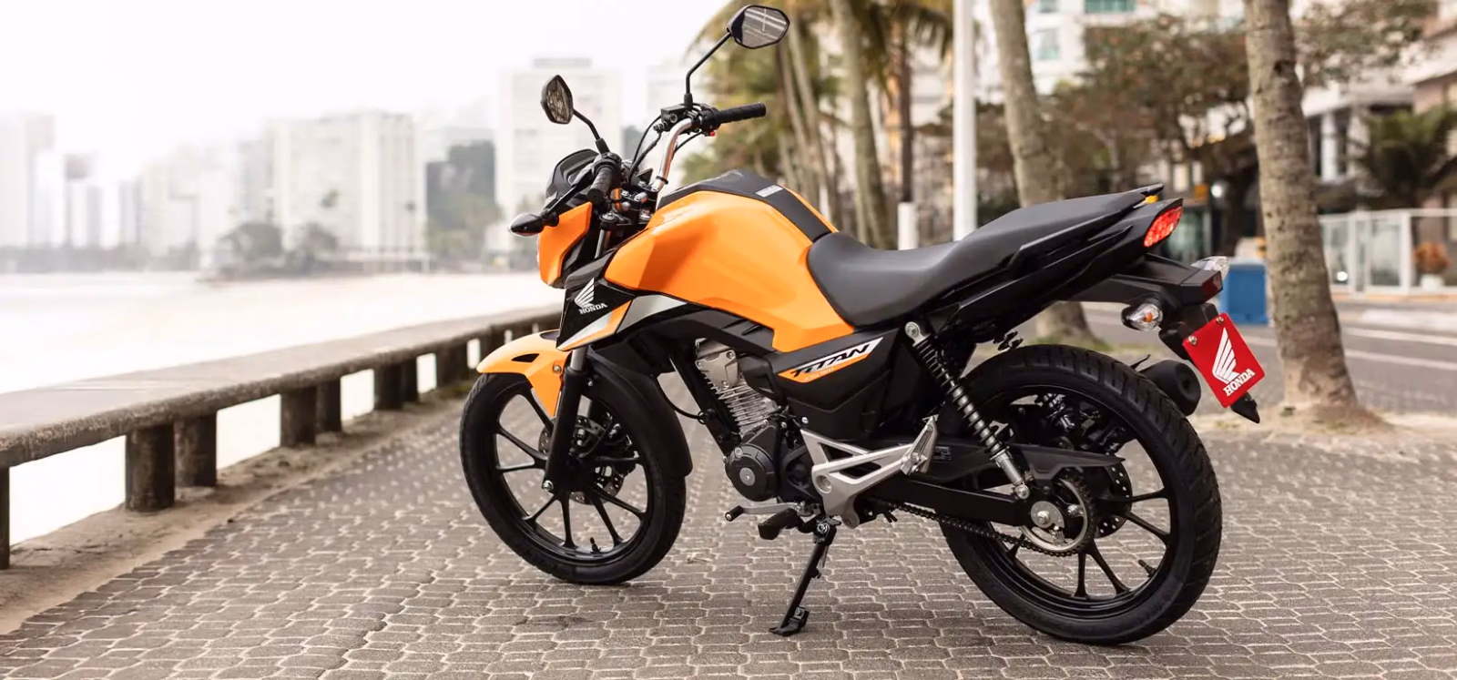 Pedaleira do passageiro da Honda CG 160 Titan - 13 de 14